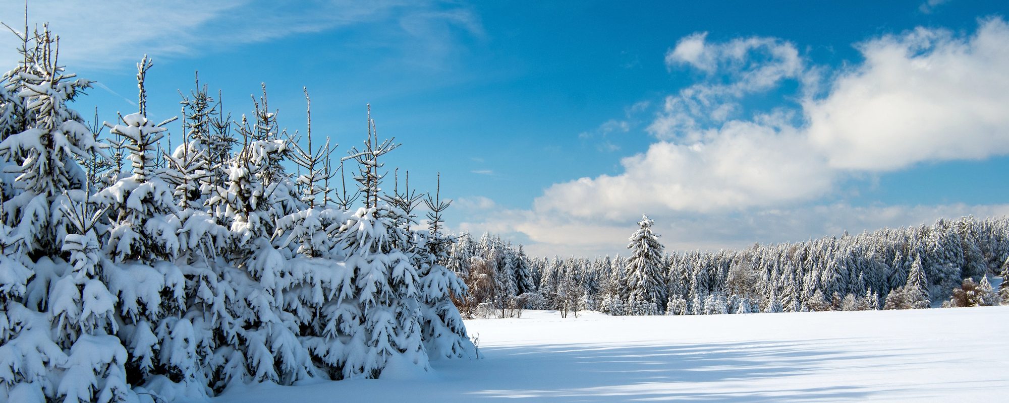 slide-brainerd-mn-winter-2025